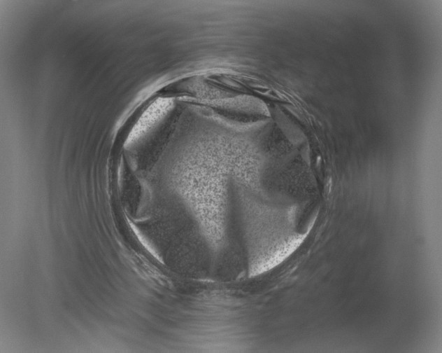 X0000080190244200612302319