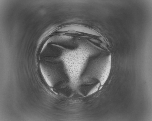 X0000080190245200612302319