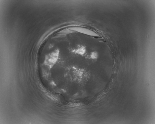 X0000080190247200612302319