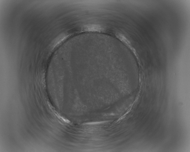 X0000080190249200612302319