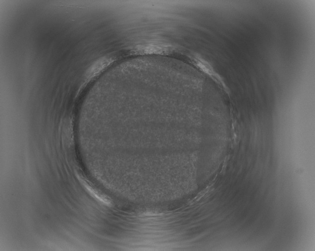 X0000080190250200612302319
