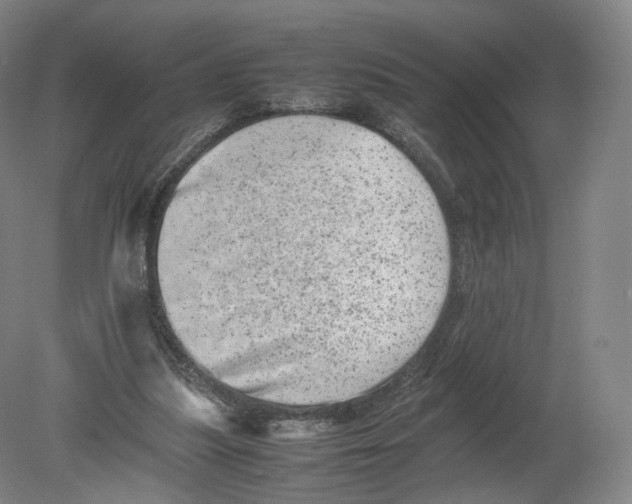 X0000080190251200612302319