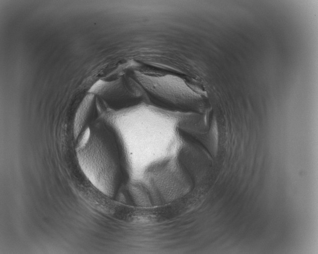 X0000080190263200612302319