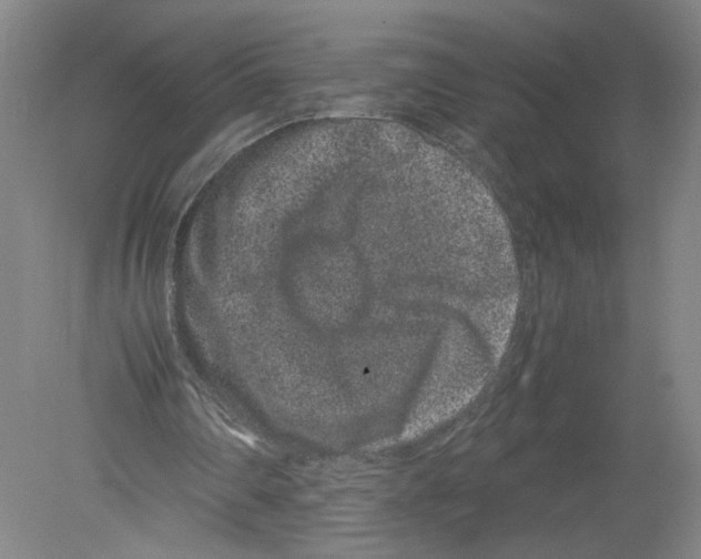 X0000080190290200612302319
