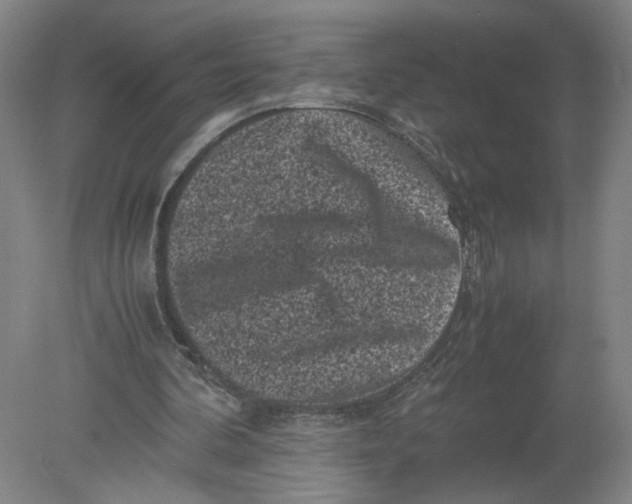 X0000080190292200612302319