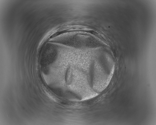 X0000080190293200612302319