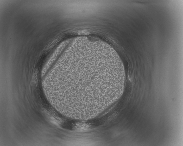 X0000080190311200612302318