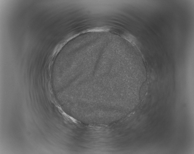 X0000080190337200612302317