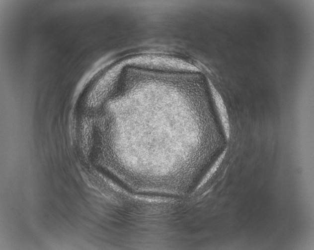 X0000080190343200612302317