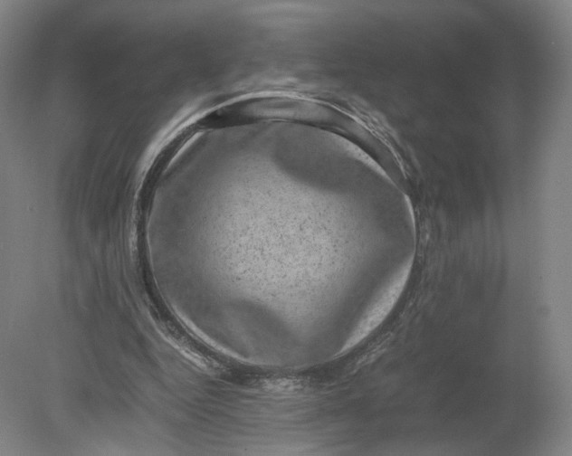 X0000080190344200612302317
