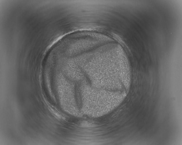 X0000080190346200612302317