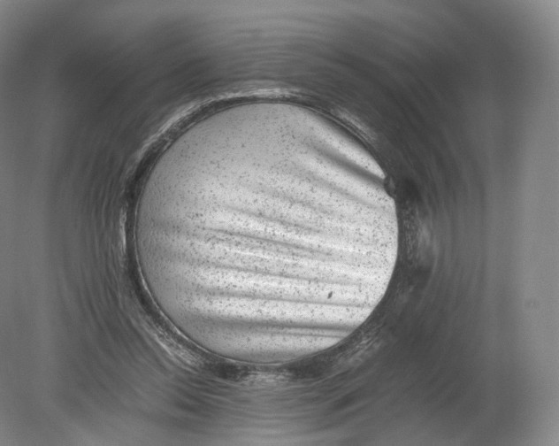 X0000080190350200612302317