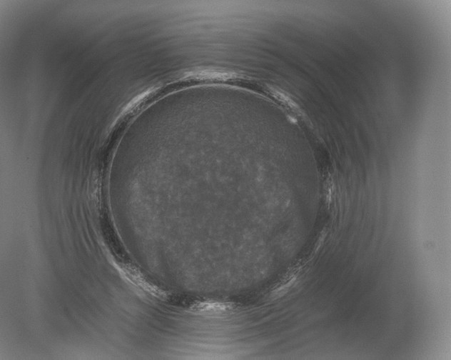 X0000080190352200612302317