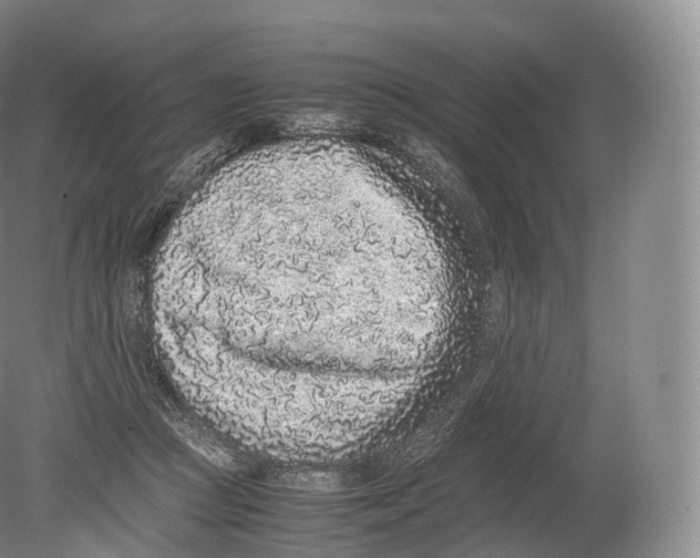X0000080190361200612302317