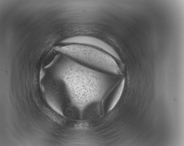 X0000080190362200612302318