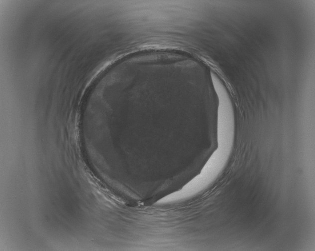 X0000080190387200612302317