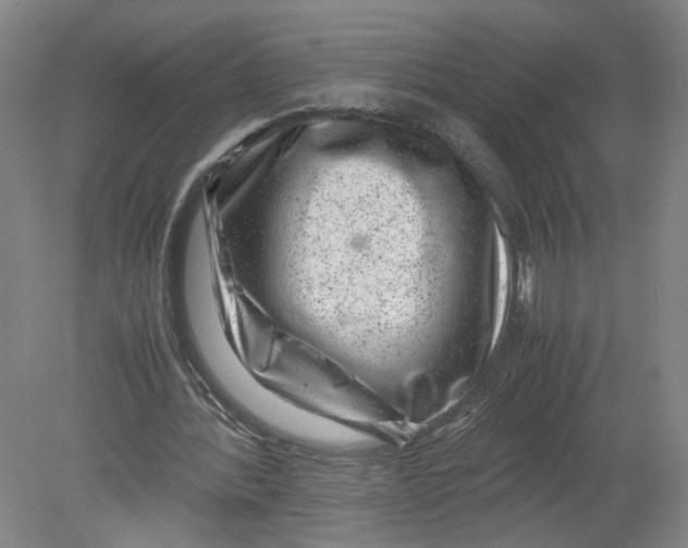 X0000080190388200612302317