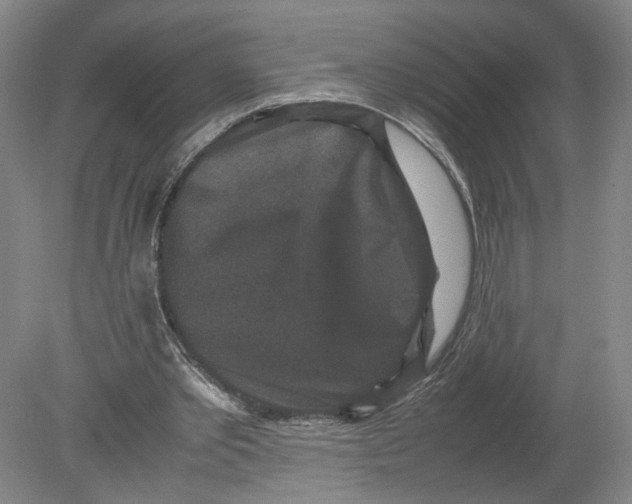 X0000080190389200612302317