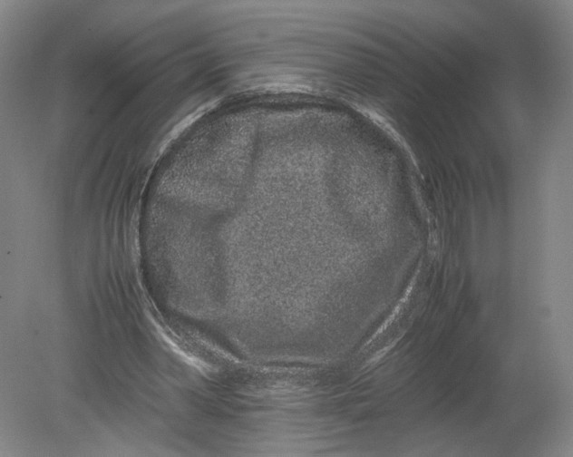 X0000080190390200612302317