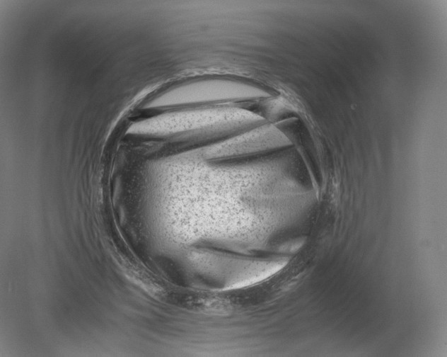 X0000080190395200612302317