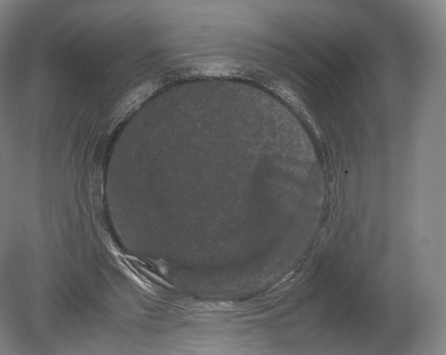 X0000080190397200612302317