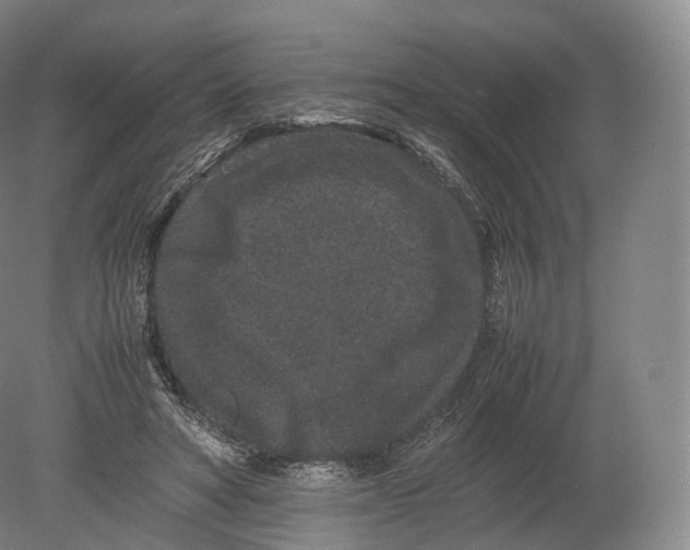 X0000080190402200612302317