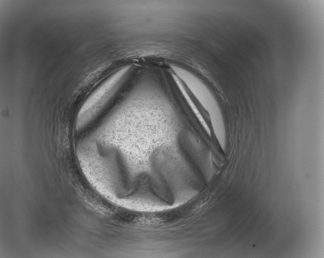 X0000080190403200612302317