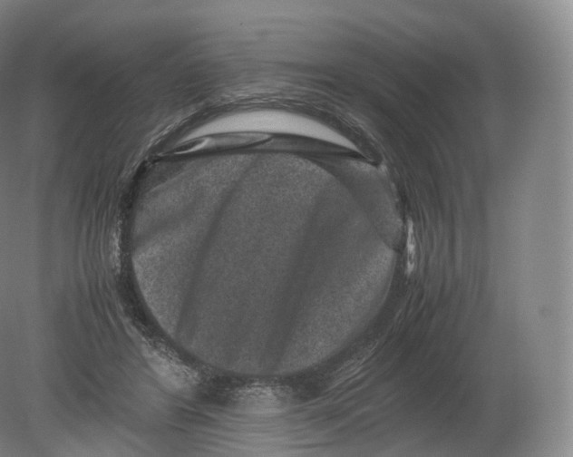 X0000080190404200612302317