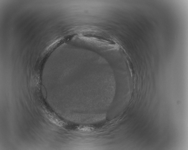 X0000080190407200612302317