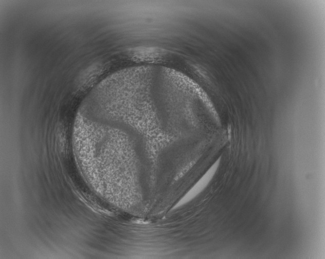 X0000080190408200612302317
