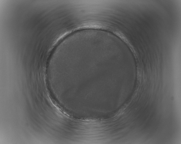 X0000080190434200612302315