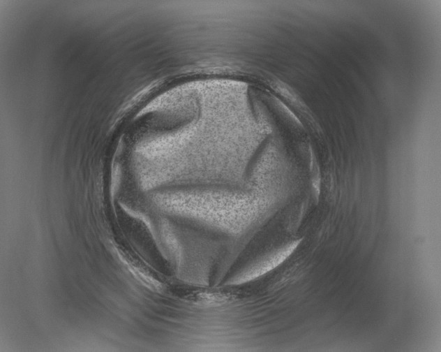 X0000080190442200612302316