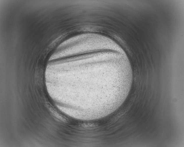 X0000080190445200612302316