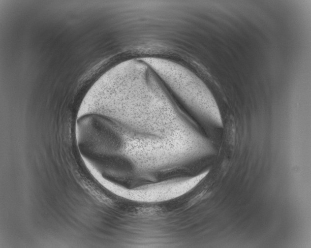 X0000080190446200612302316