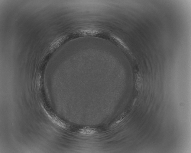 X0000080190451200612302316