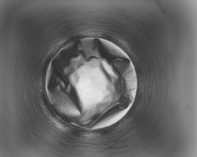 X0000080190453200612302316