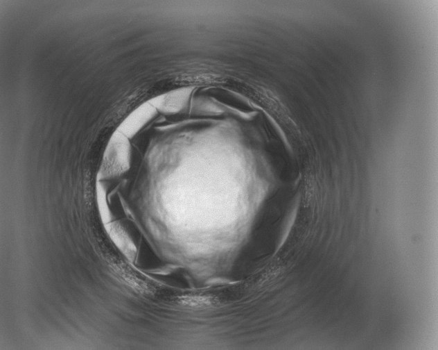X0000080190457200612302316
