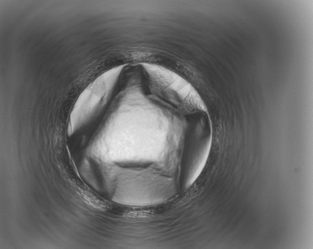 X0000080190461200612302316