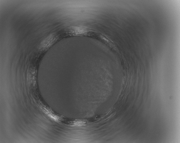 X0000080190462200612302316