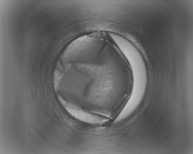 X0000080190481200612302315