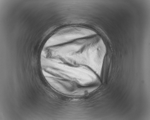 X0000080190483200612302315