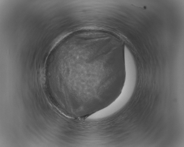 X0000080190484200612302315