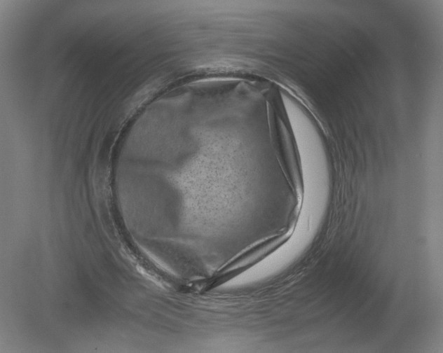 X0000080190485200612302315