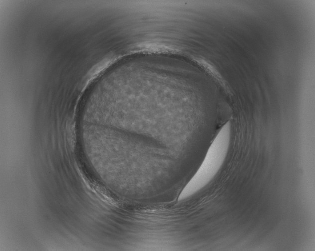 X0000080190488200612302315