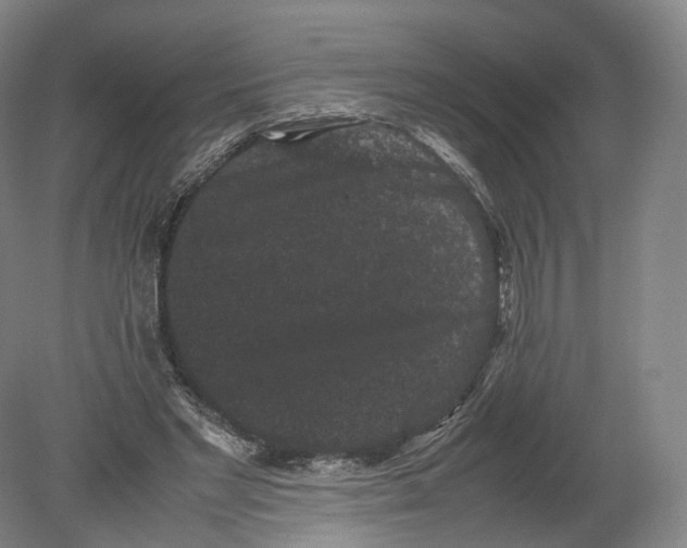 X0000080190493200612302315