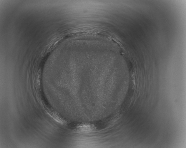 X0000080190499200612302315