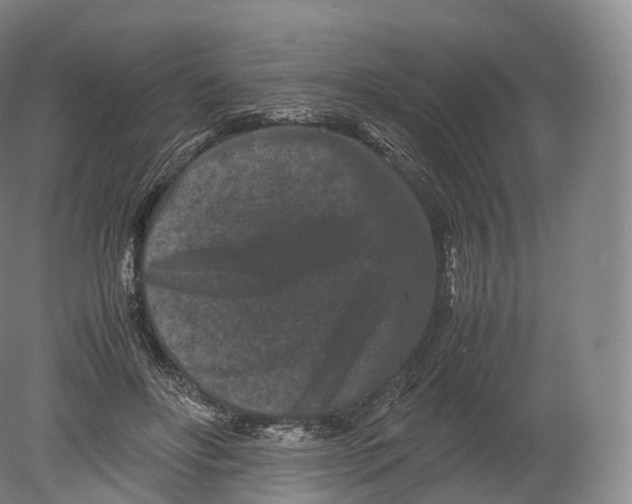 X0000080190502200612302315