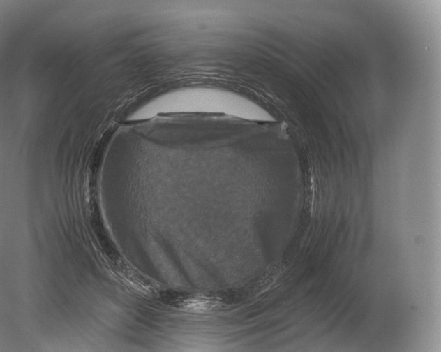 X0000080190504200612302315
