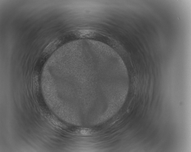 X0000080190506200612302315