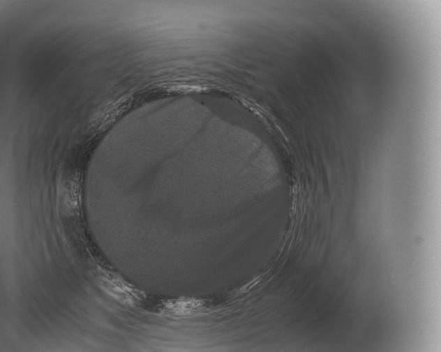 X0000080190517200612302315